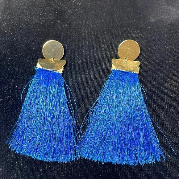 Blue Tassle‎ Earrings - Picture 1 of 2